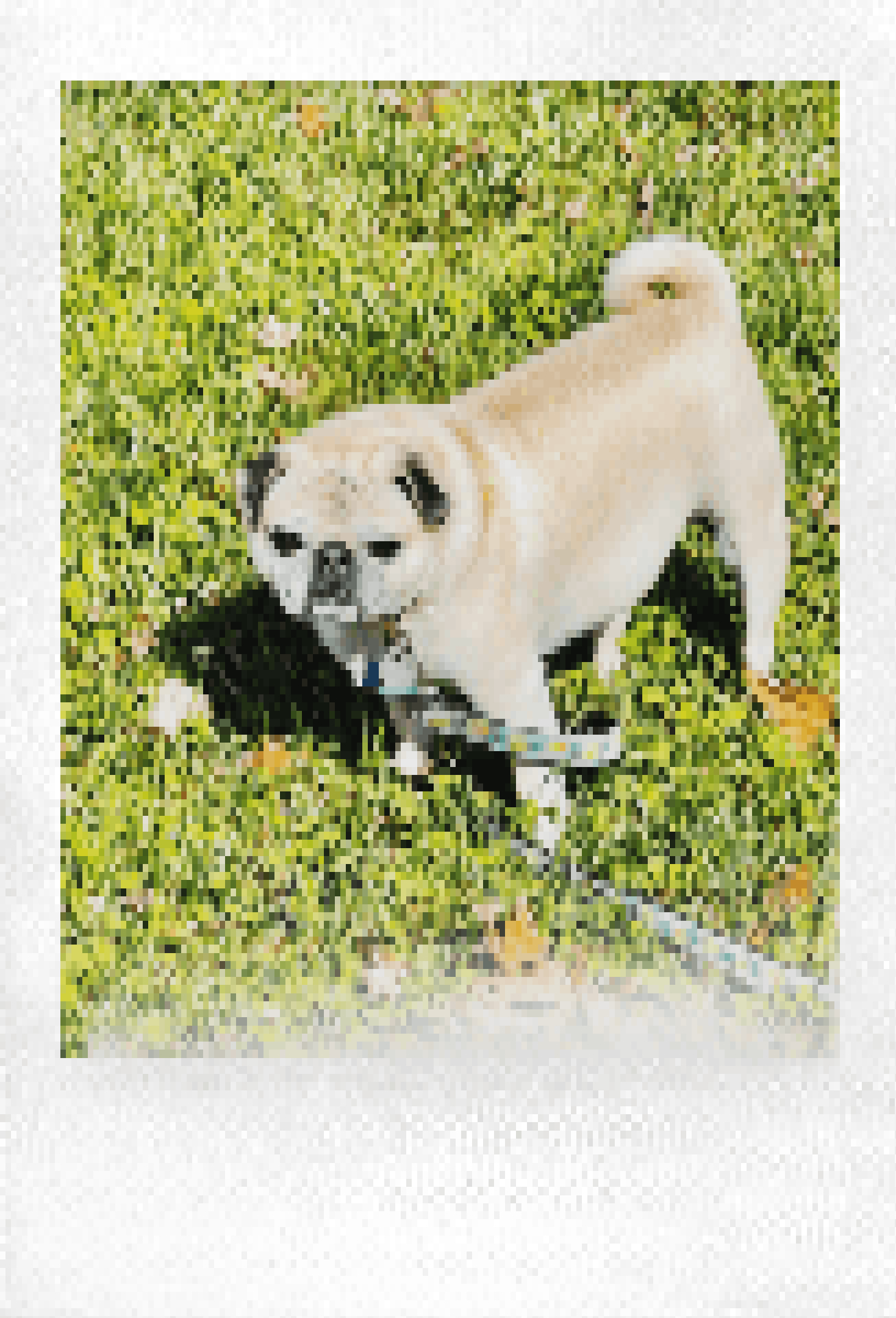 drag-and-drop image script